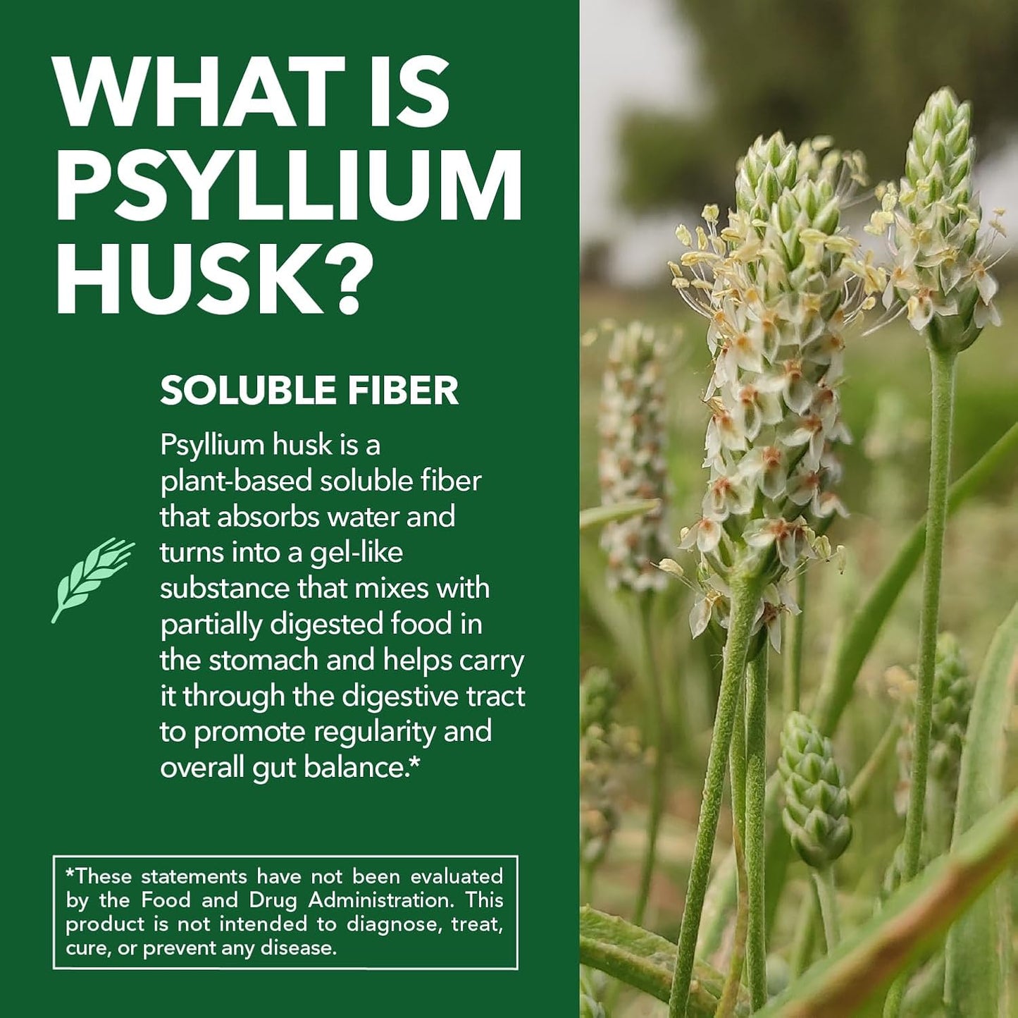Vegan Psyllium Husk Fiber Capsules, GLP-1 Nutritional Support, 270 Pills | Psyllium Fiber Supplement Capsules for Digestive Health Regularity, Non-GMO Gluten Free & 3rd Party Tested, 90 Servings Gsupps Australia