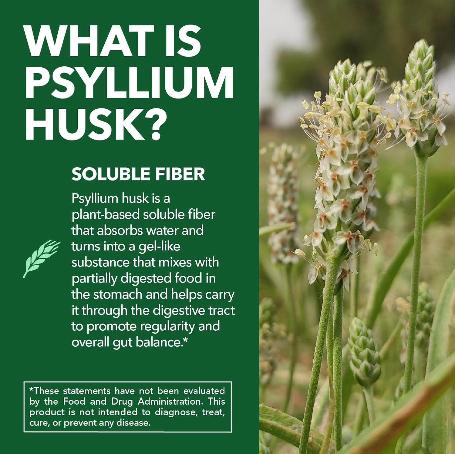 Vegan Psyllium Husk Fiber Capsules, GLP-1 Nutritional Support, 270 Pills | Psyllium Fiber Supplement Capsules for Digestive Health Regularity, Non-GMO Gluten Free & 3rd Party Tested, 90 Servings Gsupps Australia
