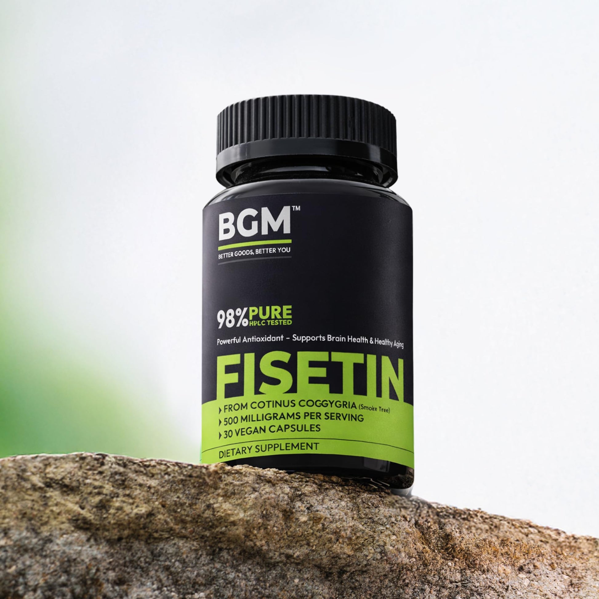 BGM Fisetin 500mg Supplement | Smoke Tree Extract (Cotinus coggygria) | 98% Pure Senolytic Antioxidant | Vegan Capsules | Supports Brain Health & Healthy Aging BGM Better Goods, Better You buy australia supplements