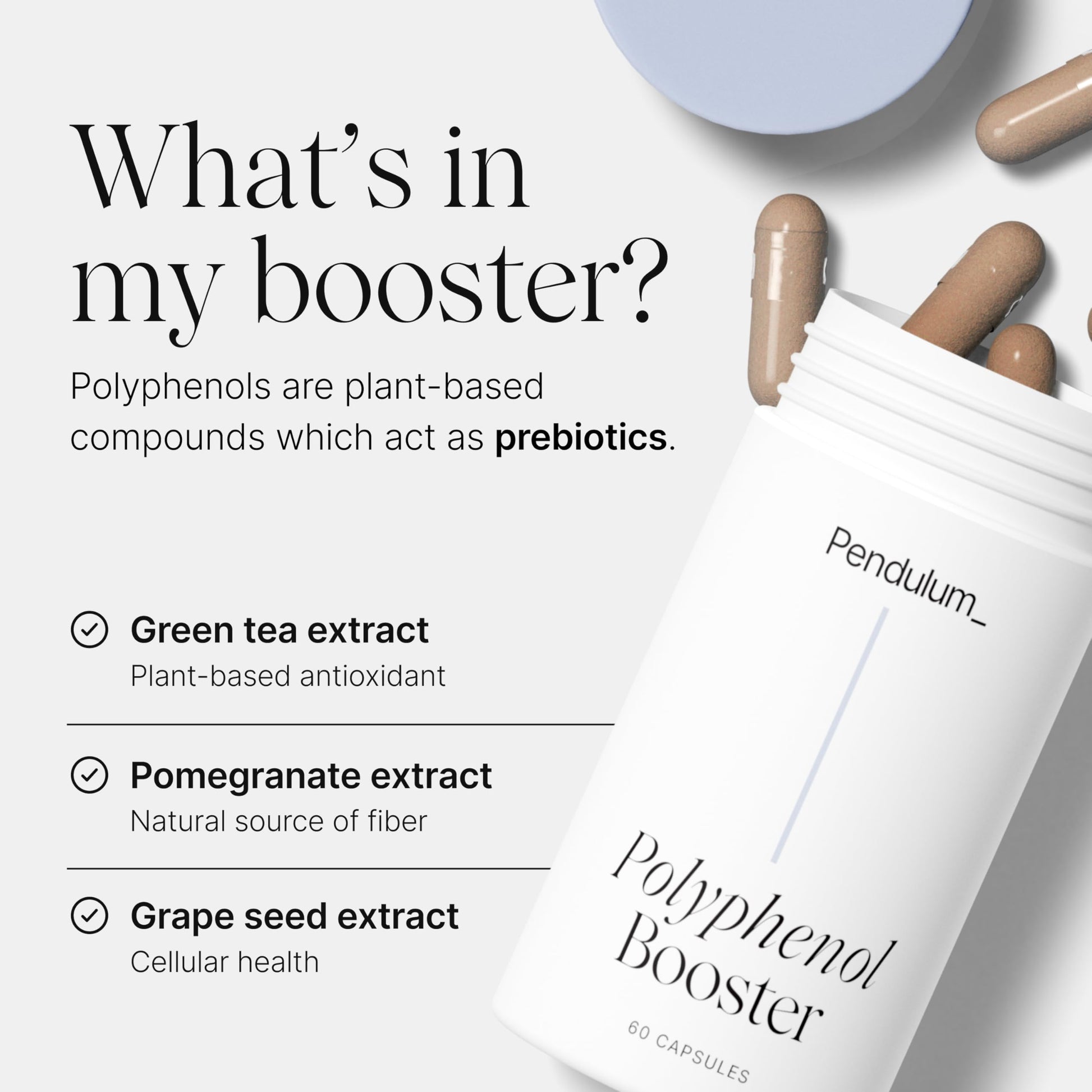 Pendulum Polyphenol Booster, Antioxidant from Superfoods, Beneficial Plant Compounds for Good Health, Helps Boost Akkermansia Muciniphila for Men & Women (60 Capsules, 1-Pack) Pendulum buy australia supplements
