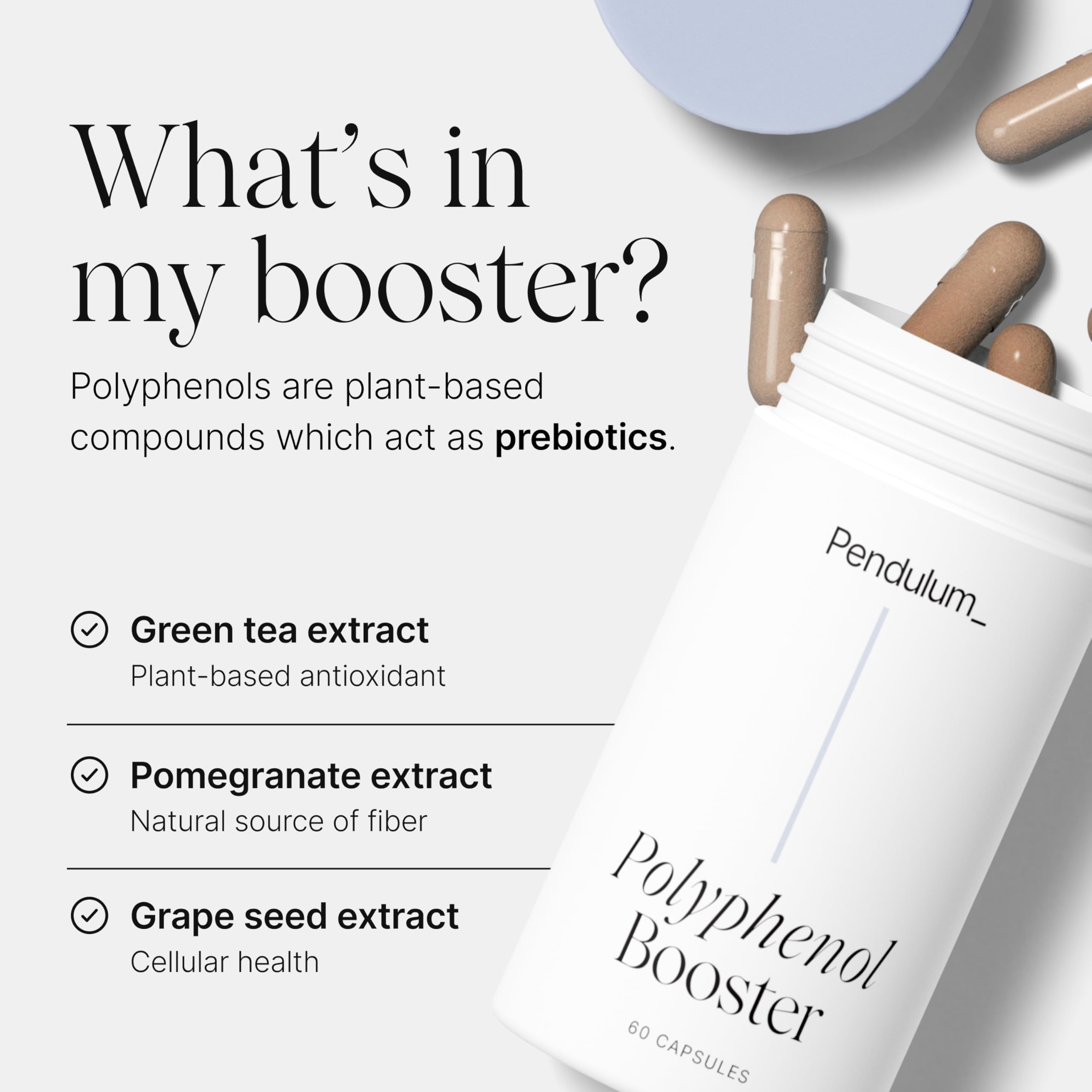 Pendulum Polyphenol Booster, Antioxidant from Superfoods, Beneficial Plant Compounds for Good Health, Helps Boost Akkermansia Muciniphila for Men & Women (60 Capsules, 1-Pack) Pendulum buy australia supplements