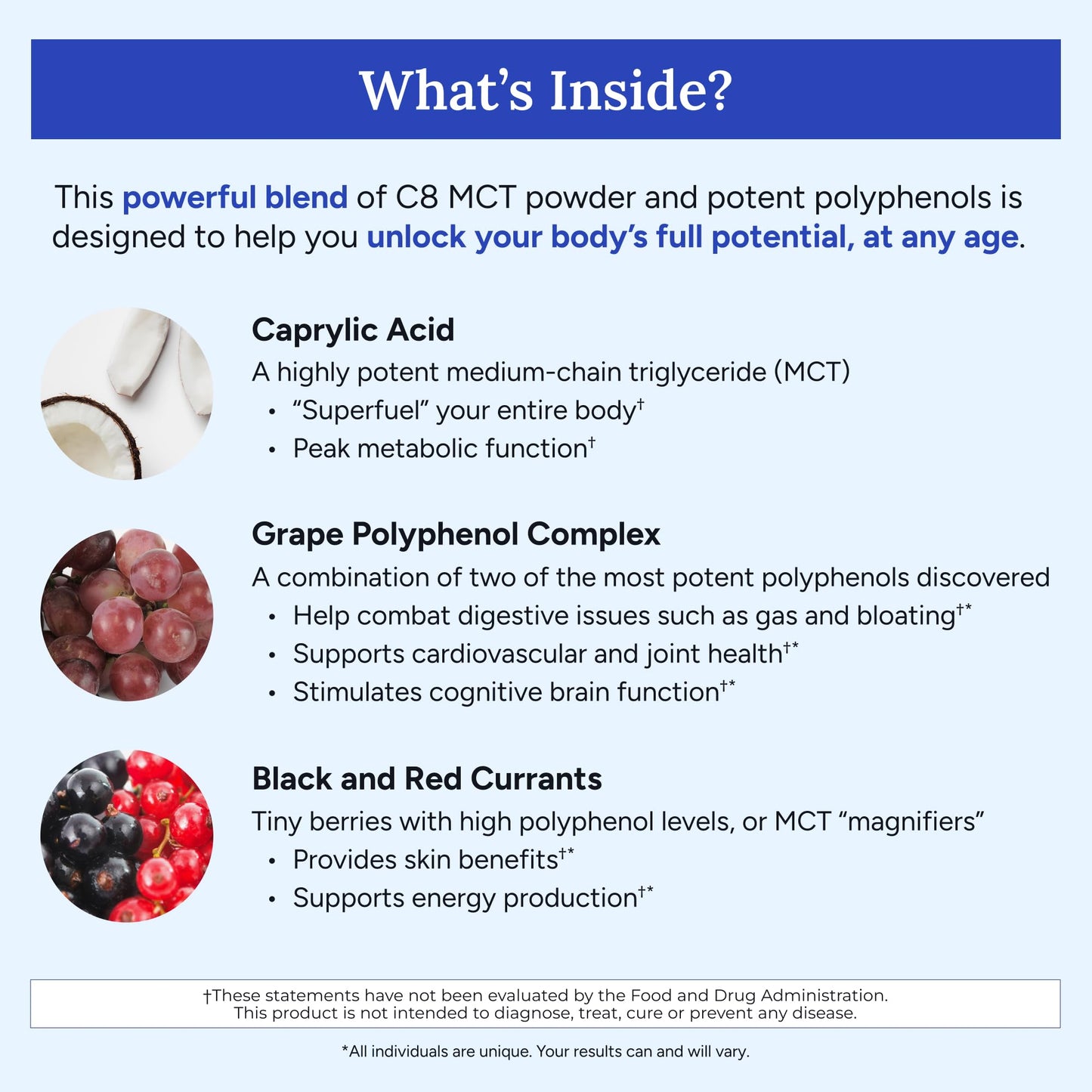 Gundry MD MCT Wellness Powder to Support Energy, Ketone Production and Brain Health, Keto Friendly, Sugar Free Gundry MD