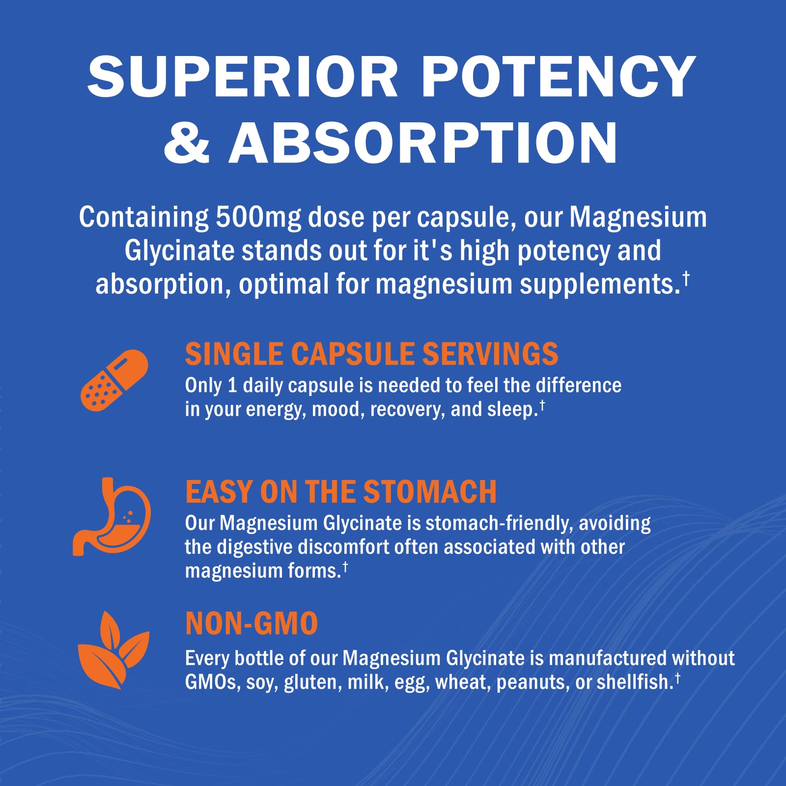 Magnesium Glycinate - High Absorption Magnesium Supplement 500mg Per Serving for Stress Relief, Sleep, Heart and Bone Health, Nerve Support - Non-GMO, Gluten-Free, Gentle on Stomach, 240 Capsules GOODBIO buy australia supplements