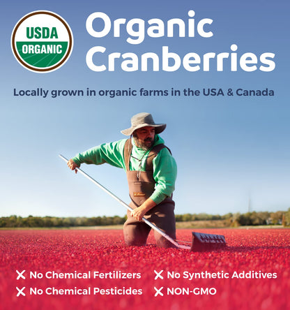 Organic Cranberry Pills - Vegan Supplement for Urinary Tract Health & Kidney Cleanse - Cranberry Pills for Women 500mg 50:1 Cranberry Concentrate Per Serving PURE CO