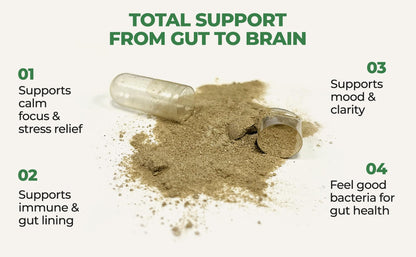 Gut-Brain Synergy Probiotic & Nootropic – 30Billion CFU Psychobiotic + Prebiotic with Ashwagandha, L-Theanine & Zinc for Gut Health, Mood Support, Stress Relief, Bloating Relief & Brain Focus & Memory COREHEALTH