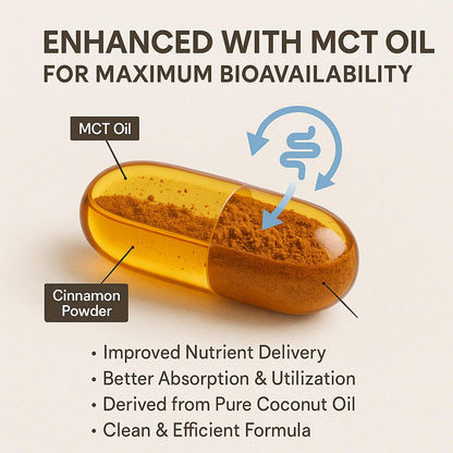 LIRAE Ceylon Cinnamon Softgels with MCT Oil – 300 Softgels – True Ceylon Cinnamon Supplement – Non-GMO, Gluten Free LIRAE