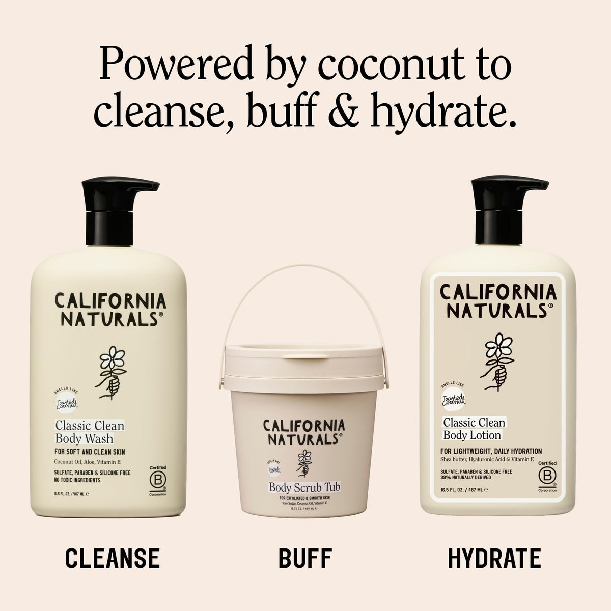 California Naturals Classic Clean Body Lotion for Dry Skin, Moisturizing, Lightweight with Shea Butter, Naturally Scented, Vegan, Sulfate, Paraben & Phthalate Free, Toasted Coconut, 16.5 oz California Naturals