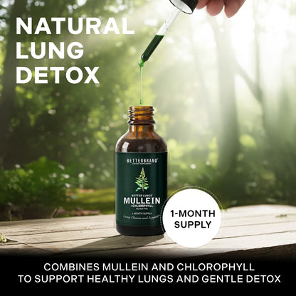 Betterbrand Mullein Drops for Lung Detox - Mullein Leaf Tincture with Chlorophyll - Helps Support Respiratory Health Betterbrand