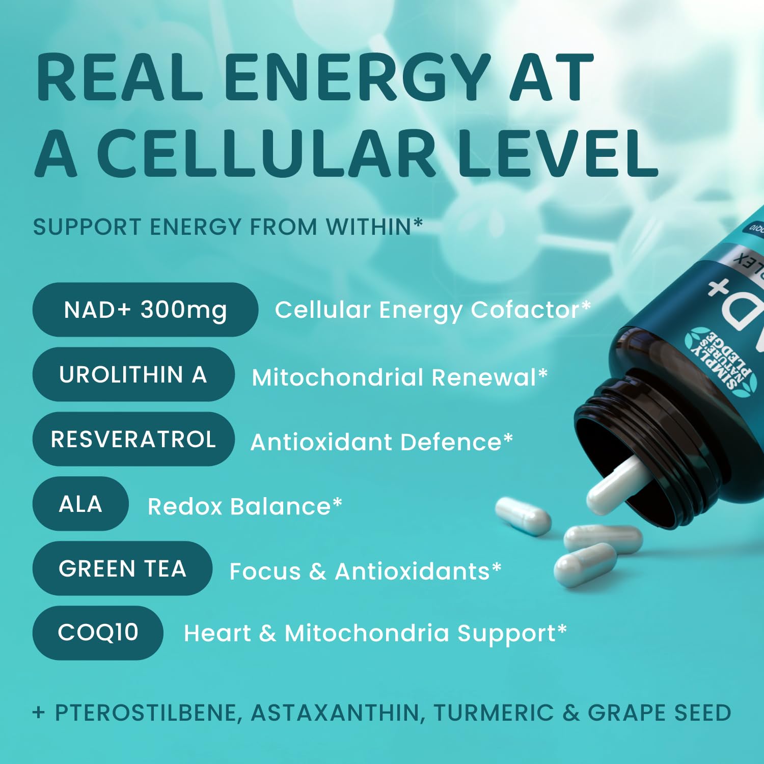 NAD+ Elite Complex – Direct NAD+ 300 mg with Urolithin A, Resveratrol, CoQ10 & Antioxidant Blend – Cellular Energy, Mitochondrial Support & Healthy Aging – Vegan, Non-GMO, 60 Capsules (30 Servings) Simply Nature's Pledge buy australia supplements