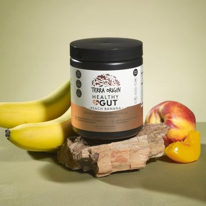 TERRA ORIGIN Healthy Gut Peach Banana | 30-Servings with L-Glutamine, Zinc, Glucosamine, Slippery Elm Bark, Marshmallow Root and More! TERRA ORIGIN