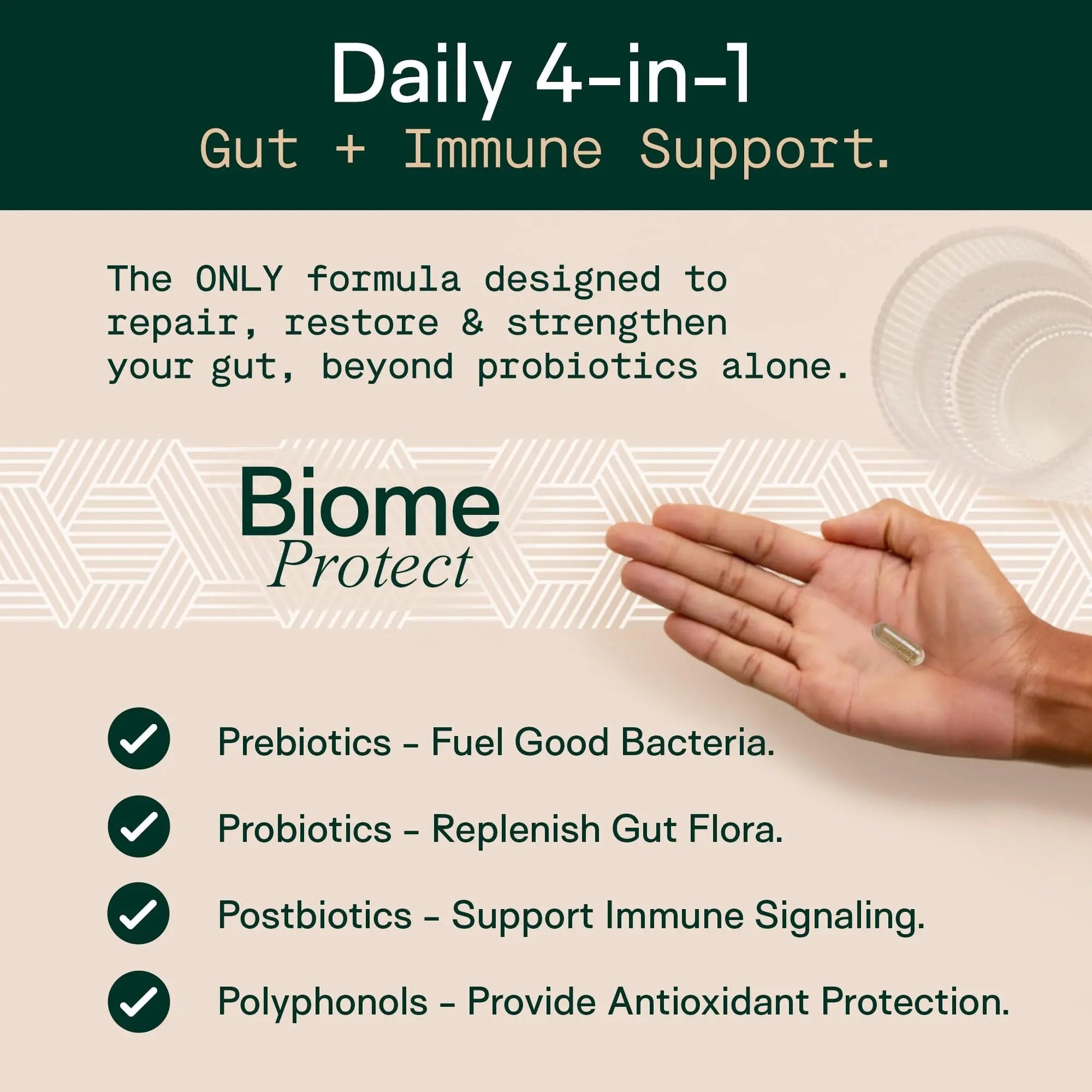 Adapt Naturals 4-in-1 Biome Protect Prebiotics, Probiotics Supplement Postbiotics & Polyphenols for Microbiome, Gut Health & Defense for Women & Men, 30 Day Supply ADAPT NATURALS BY CHRIS KRESSER buy australia supplements