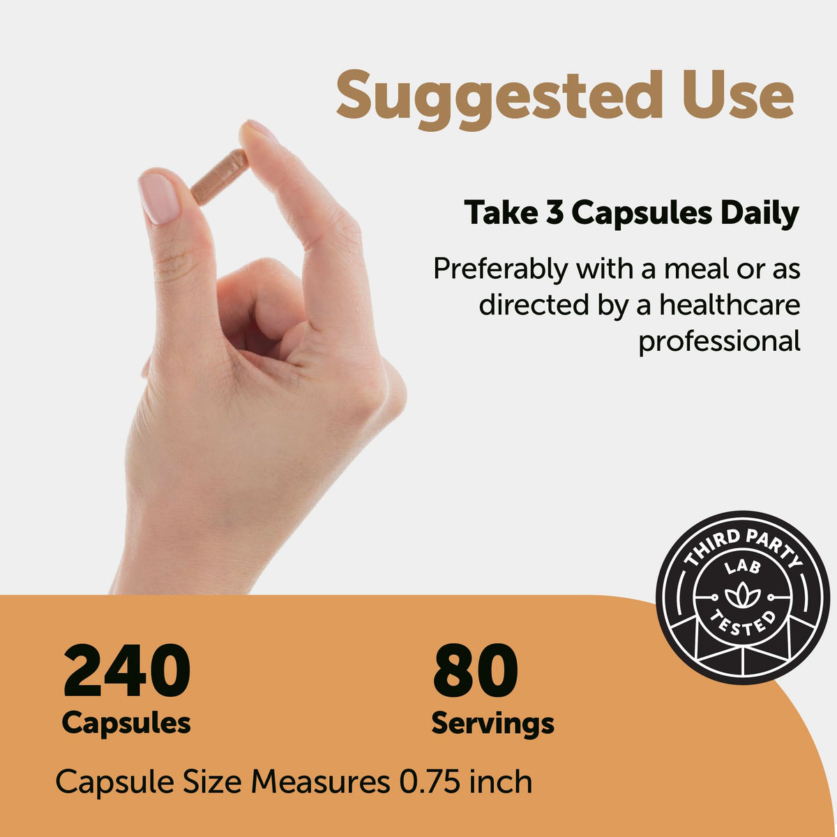 Micro Ingredients Nattokinase 10,000 FU Per Serving (Natural Natto Extract), 240 Vegetarian Capsules | with CoQ10, Turmeric, Aged Garlic & Pine Bark Extract Micro Ingredients