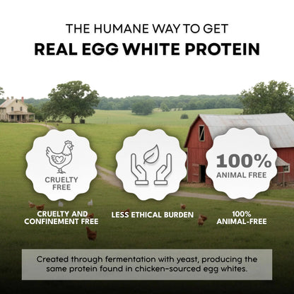 Healthier Comforts Animal-Free Egg White Protein Powder | Make Vegan Egg Omelets, Angel Food Cake, Meringue, Protein Shakes | Whips and Binds Just Like Traditional Egg Whites (8 oz) Healthier Comforts