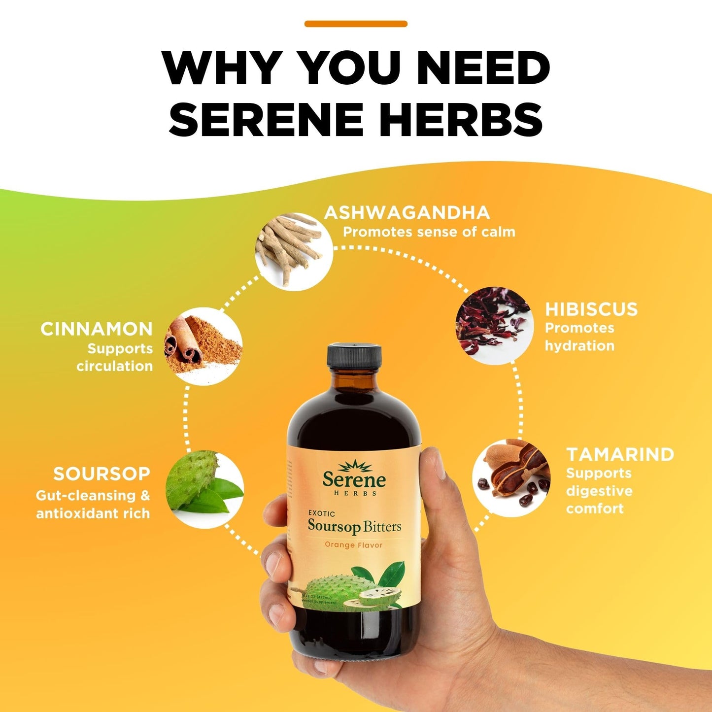 Serene Herbs Soursop Bitters Liquid with Soursop Leaves for Gut Cleanse, Detox & Immune Boost with Black Seed, Moringa, Irish Moss, Ashwaganda, Turmeric, 16 fl oz (16 Fl, Soursop)