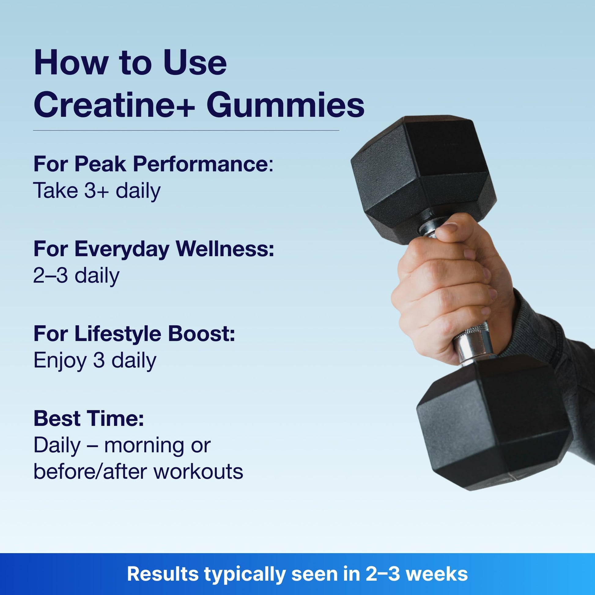 Bear Balanced Creatine Gummies for Men & Women - Creapure® Creatine Monohydrate, L-Theanine, L-Tyrosine & B12 for Muscle Growth, Strength, Focus, Energy & Health Bear Balanced buy australia supplements