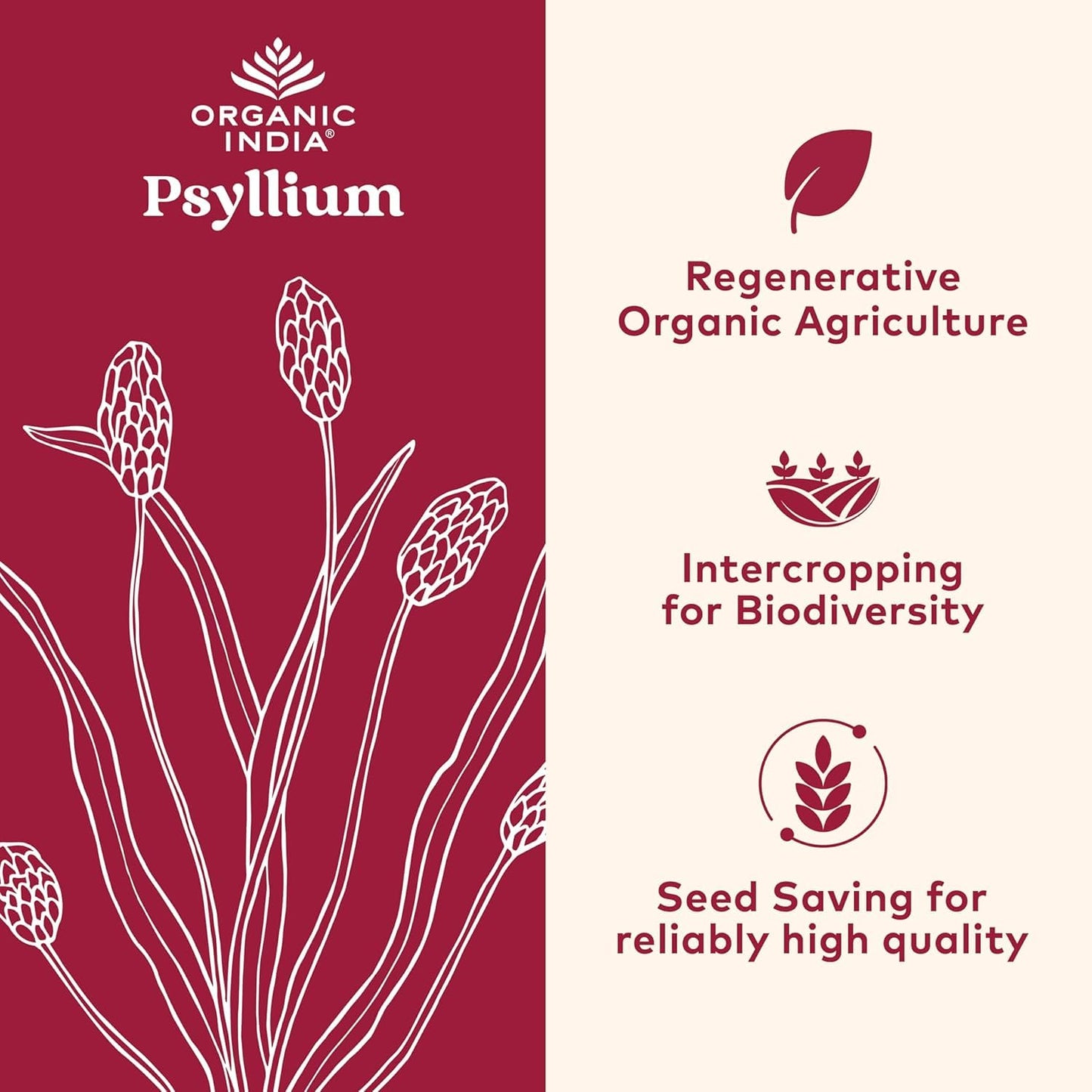 ORGANIC INDIA Psyllium Herbal Powder - Whole Husk Fiber, Vegan, Gluten-Free, USDA Certified Organic, Non-GM ORGANIC INDIA