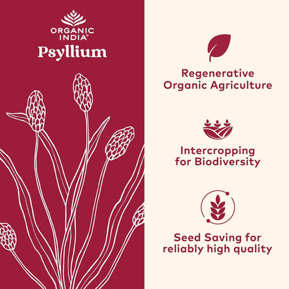 ORGANIC INDIA Psyllium Herbal Powder - Whole Husk Fiber, Vegan, Gluten-Free, USDA Certified Organic, Non-GM ORGANIC INDIA