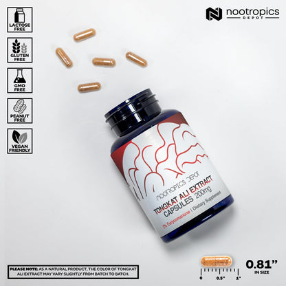 Nootropics Depot Tongkat Ali Extract Capsules | 200mg | 60 Count | 2% Eurycomanone By HPTLC | Eurycoma longifolia Root Extract