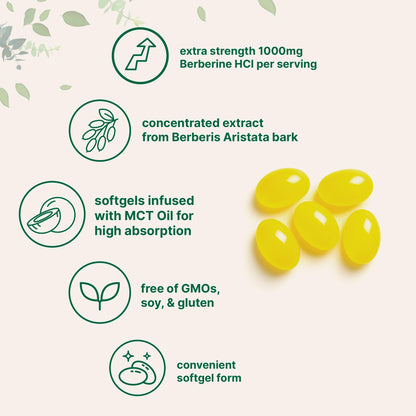 Micro Ingredients 1000mg with MCT Oil, 240 Softgels | Highly Bioavailable Formula with Berberine HCI from Aristata Micro Ingredients