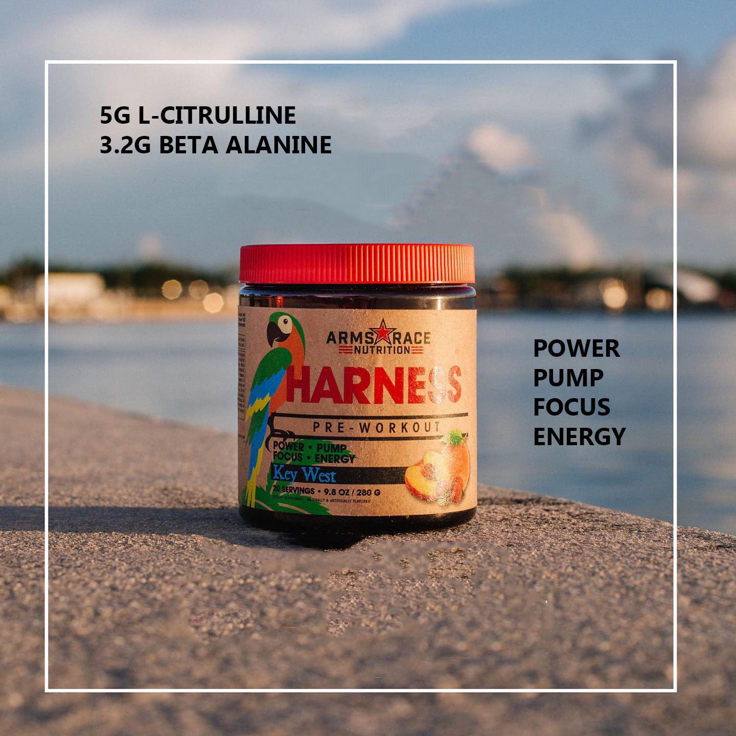 Arms Race Nutrition Harness Pre-Workout, 20 Servings (Big Sky) Arms Race Nutrition buy australia supplements