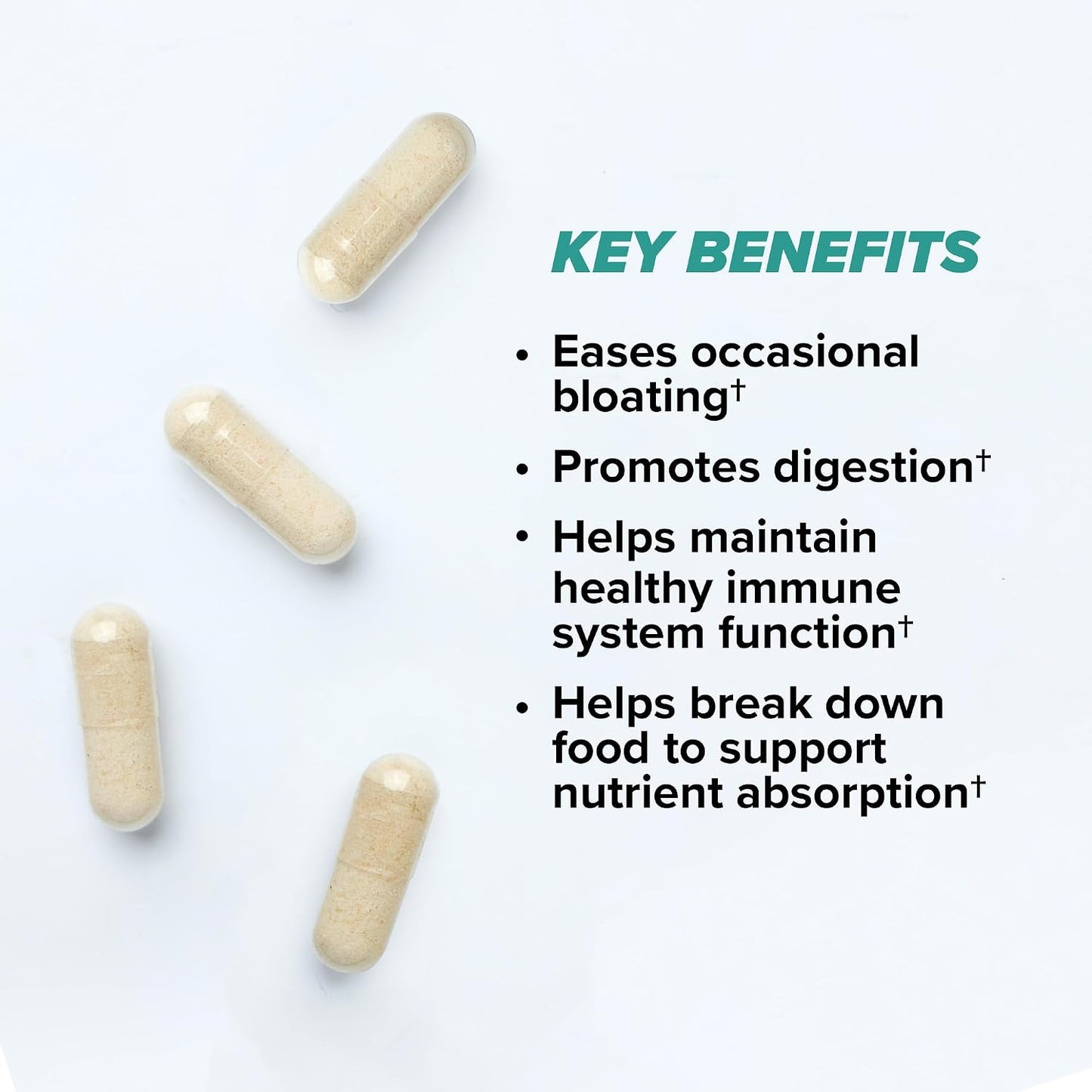 ONNIT Total Gut Health Daily Digestive Support, IGEN™ Non-GMO Tested Digestion Supplement for Women and Men with 7 Strains of Probiotics, Prebiotics, Enzymes and Betaine HCL, 60 Count