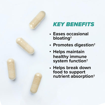 ONNIT Total Gut Health Daily Digestive Support, IGEN™ Non-GMO Tested Digestion Supplement for Women and Men with 7 Strains of Probiotics, ONNIT