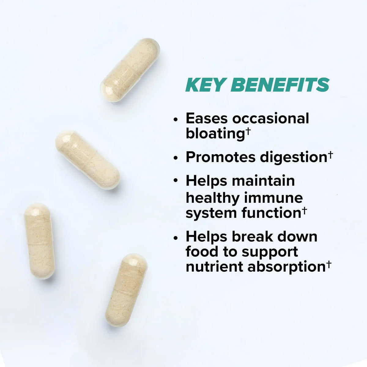 ONNIT Total Gut Health Daily Digestive Support, IGEN Non-GMO Tested Digestion Supplement for Women and Men with 7 Strains of Probiotics, Prebiotics, ONNIT