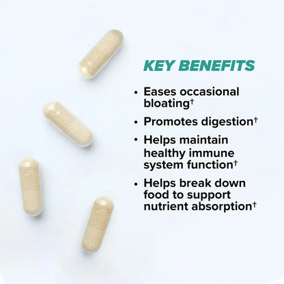ONNIT Total Gut Health Daily Digestive Support, IGEN Non-GMO Tested Digestion Supplement for Women and Men with 7 Strains of Probiotics, Prebiotics, ONNIT