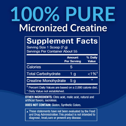 BodyTech 100% Pure Creatine Monohydrate Powder - Micronized for Maximum Absorption - Supports Muscle Strength & Power Output BodyTech