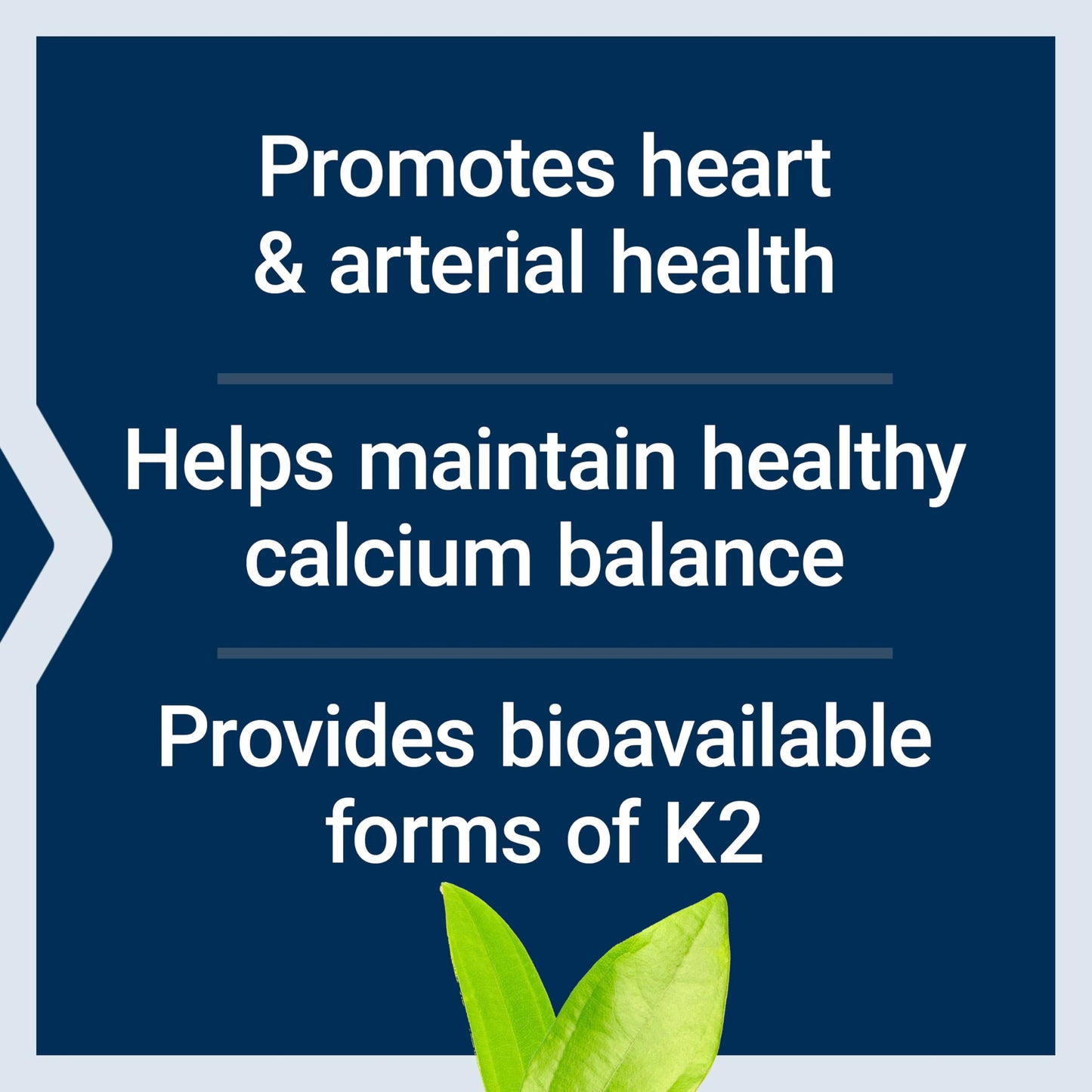 Life Extension Super K, Vitamin K Supplement, 2000 Mcg Vitamin K and 1180 Mcg Vitamin K2, Heart Health, Once-Daily, 90 Softgels Life Extension