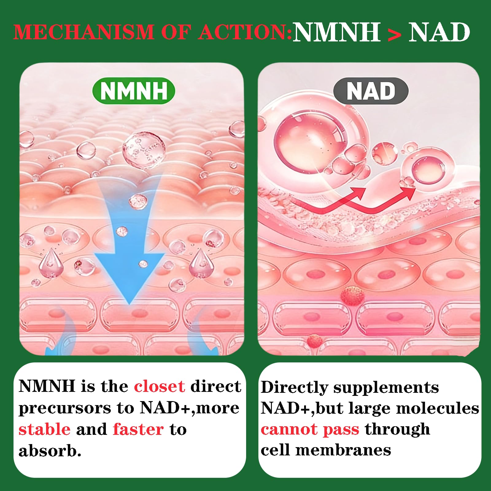 GHKALQ NMNH Supplement 1000mg,Liposomal Pure Nicotinamide Mononucleotide,Boost NAD Level with Resveratrol & Nicotinamide Riboside NR,High Absorption,for Cellular,Energy,Non-GMO,Vegan,120 Capsules GHKALQ buy australia supplements