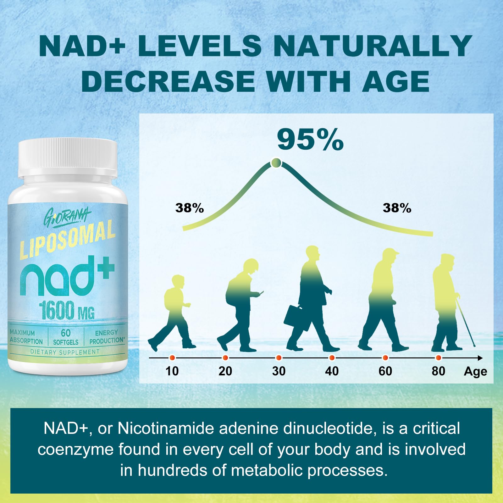 GIORANA 1600 MG Liposomal NAD+ Supplement, NAD+ Boosting Supplement, Superior Absorption, Vitamin B3 for Aging Defense, Longevity, Energy, Repair, Non-GMO, 60 Softgels GIORANA buy australia supplements