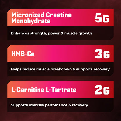 Huge Creatine HMB + LCLT, 5g Micronized Creatine Monohydrate with 3g HMB & 2g L-Carnitine L-Tartrate for Muscle Growth, Increased Strength, Enhanced Recovery & Improved Performance (Fruit Punch)