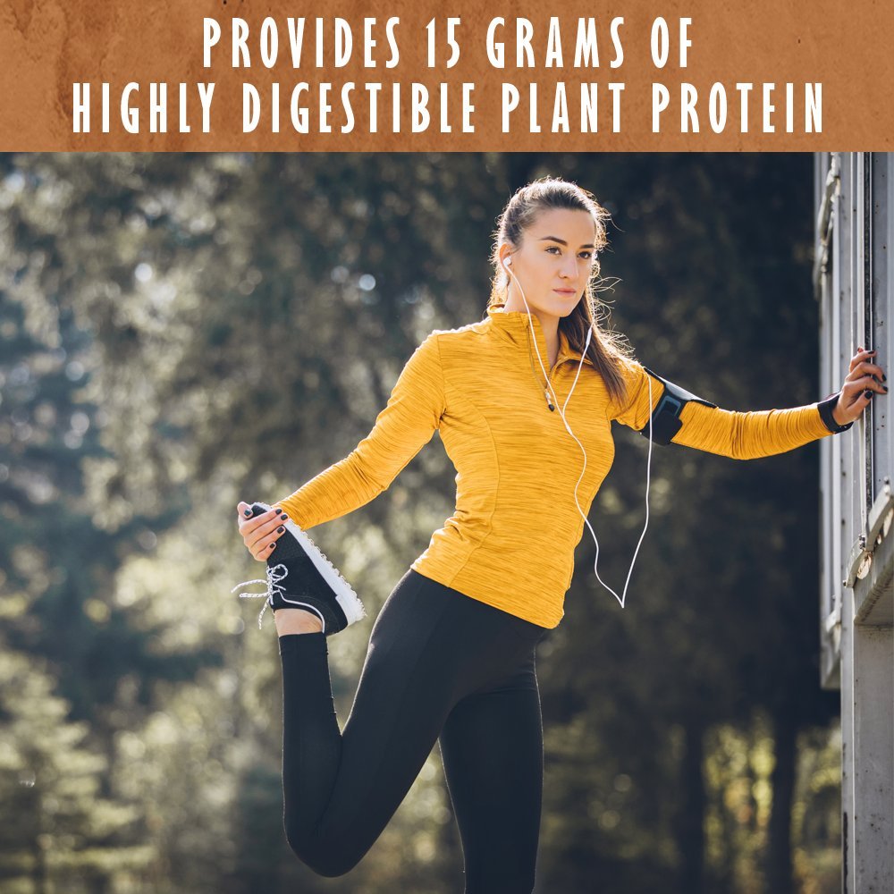 Garden of Life Organic Plant Protein Smooth Chocolate Powder, 10 Servings - Vegan, Grain Garden of Life buy australia supplements