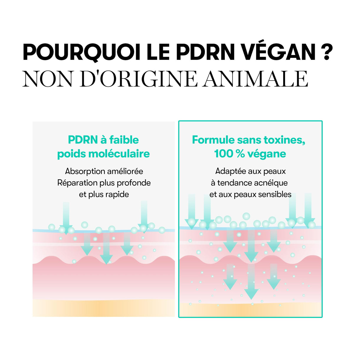 VT COSMETICS PDRN Capsule Cream 100, 1.69 fl. oz. VT COSMETICS