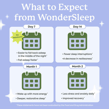 Plant People WonderSleep Mushroom Gummies Supplement for Sleep, No Melatonin with Reishi Super Mushrooms, Wild Elderberry Flavor, Sugar-Free (60 Count) Plant People
