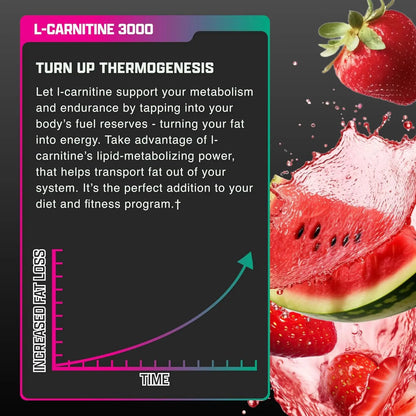 Nutrex Research L Carnitine 3000 - Clinically Dosed L-Carnitine Liquid for Energy, Metabolism & Muscle Recovery - Delicious Strawberry Watermelon - No Sugar, No Carbs Nutrex Research