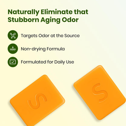 Japanese Persimmon Soap | Body Odor Bar - Old People Smell Cleanser, 2 Pack Swarva
