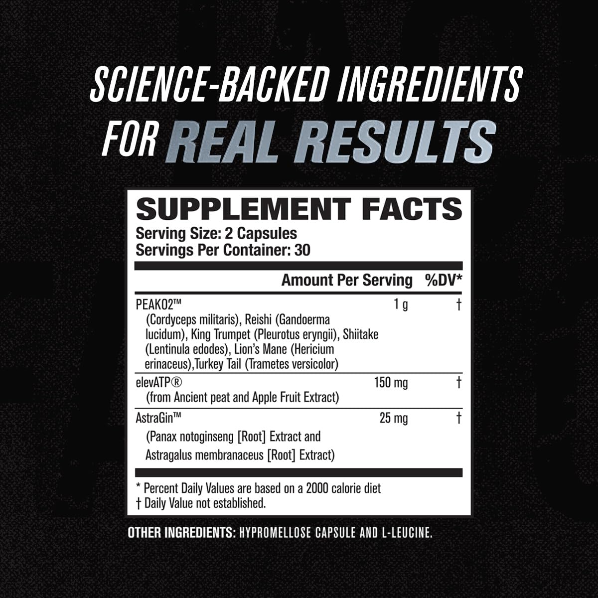 Jacked Factory Muscle Builder Supplement Stack - Build-XT Muscle Builder & N.O. XT Nitric Jacked Factory buy australia supplements