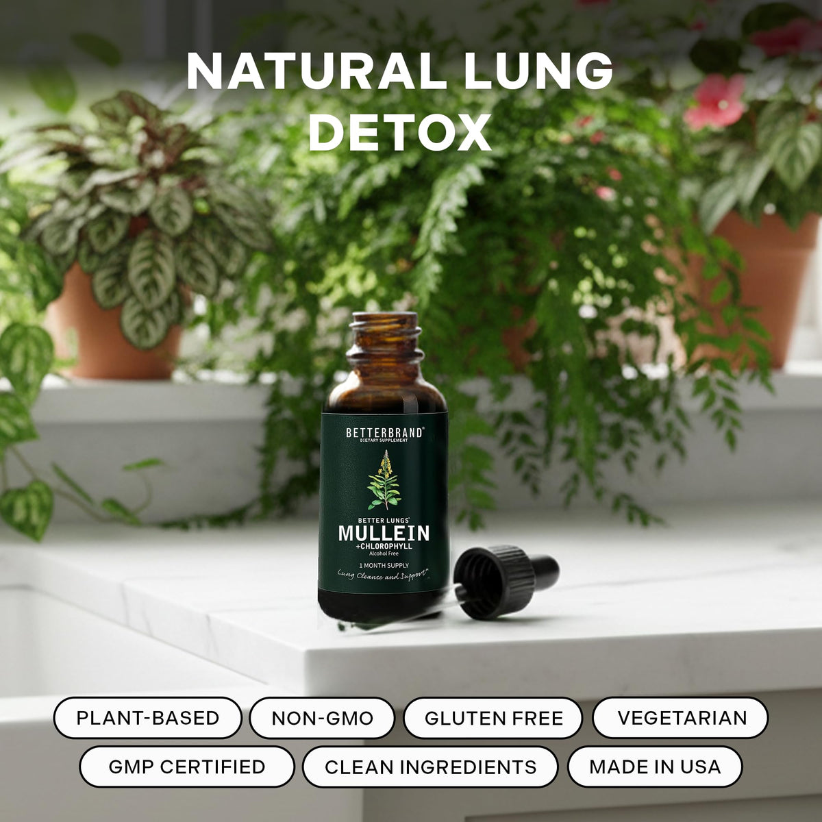 Betterbrand Mullein Drops for Lung Detox - Mullein Leaf Tincture with Chlorophyll - Helps Support Respiratory Health Betterbrand