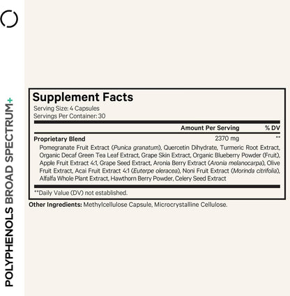 Codeage Polyphenols Broad Spectrum Supplement - Blend of 15 Berries, Fruits, and Botanical Extracts, Decaf Green Tea Leaf, Quercetin, Resveratrol, Pomegranate, Turmeric - Non-GMO - 120 Capsules
