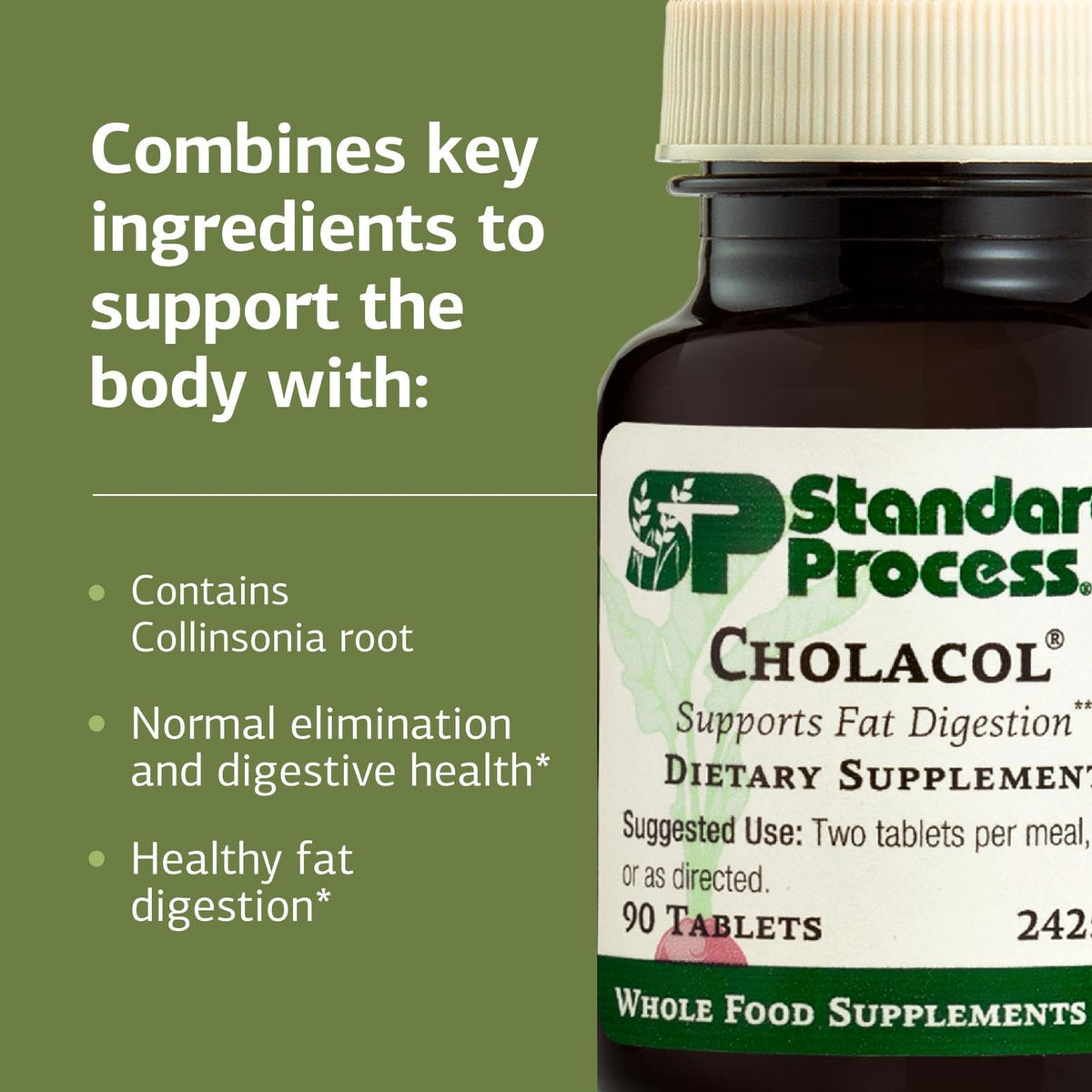 Standard Process Inc. Cholacol - Gallbladder Support Supplement - Fat Digestion Supplement for Digestive Health & Bile Support Standard Process Inc.