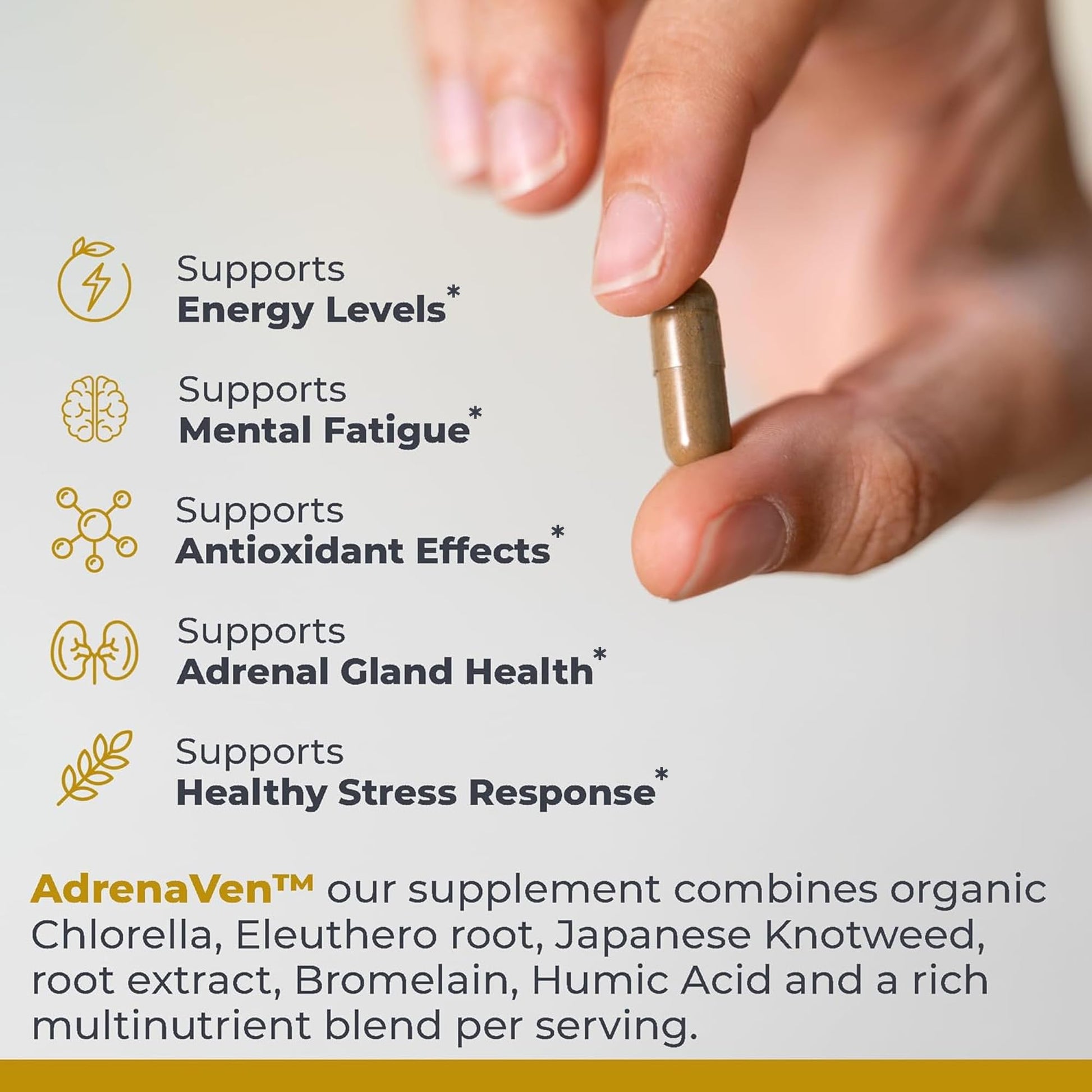 Premier Research Labs 30 Servings-AdrenaVen - Adrenal Health Supplement, Supports Adrenal Gland Health and Stress Response - Organic Adrenal Health - 60 Plant-Source Capsules Premier Research Labs buy australia supplements