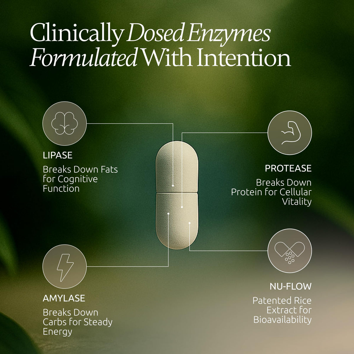 Boulder Bio Digestive Enzymes | 40,000 USP Lipase - Prescription Strength Pancreatic Enzyme Replacement Formula for Fat Digestion, Gut Health & Nutrient Absorption Boulder Bio