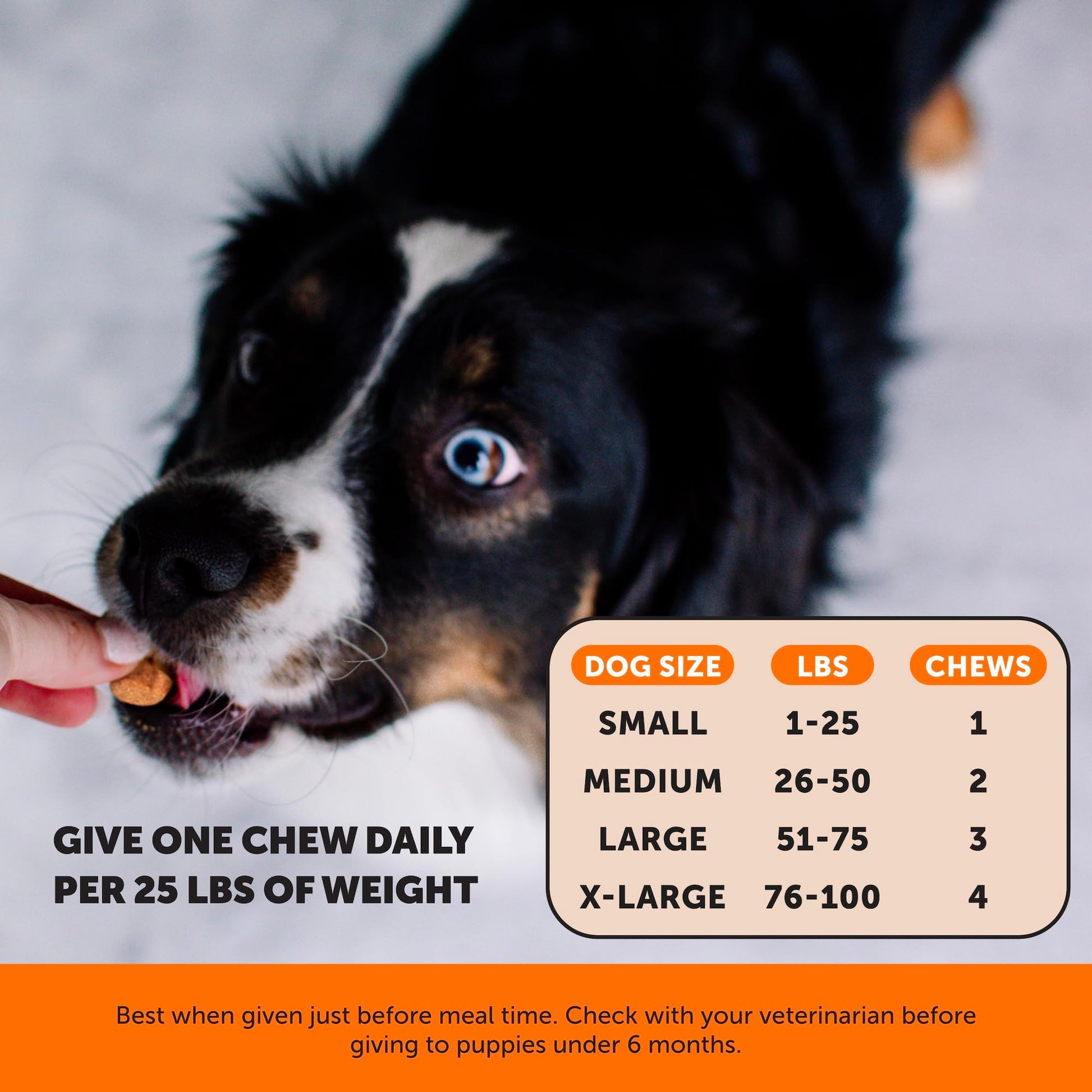 Hemp Hip & Joint Supplement for Dogs - Hemp Oil & Powder - Glucosamine Chondroitin for Dogs, Turmeric, MSM, Green-Lipped Mussel, Supports Mobility, May Reduce Discomfort (Bacon) Pet Honesty buy australia supplements