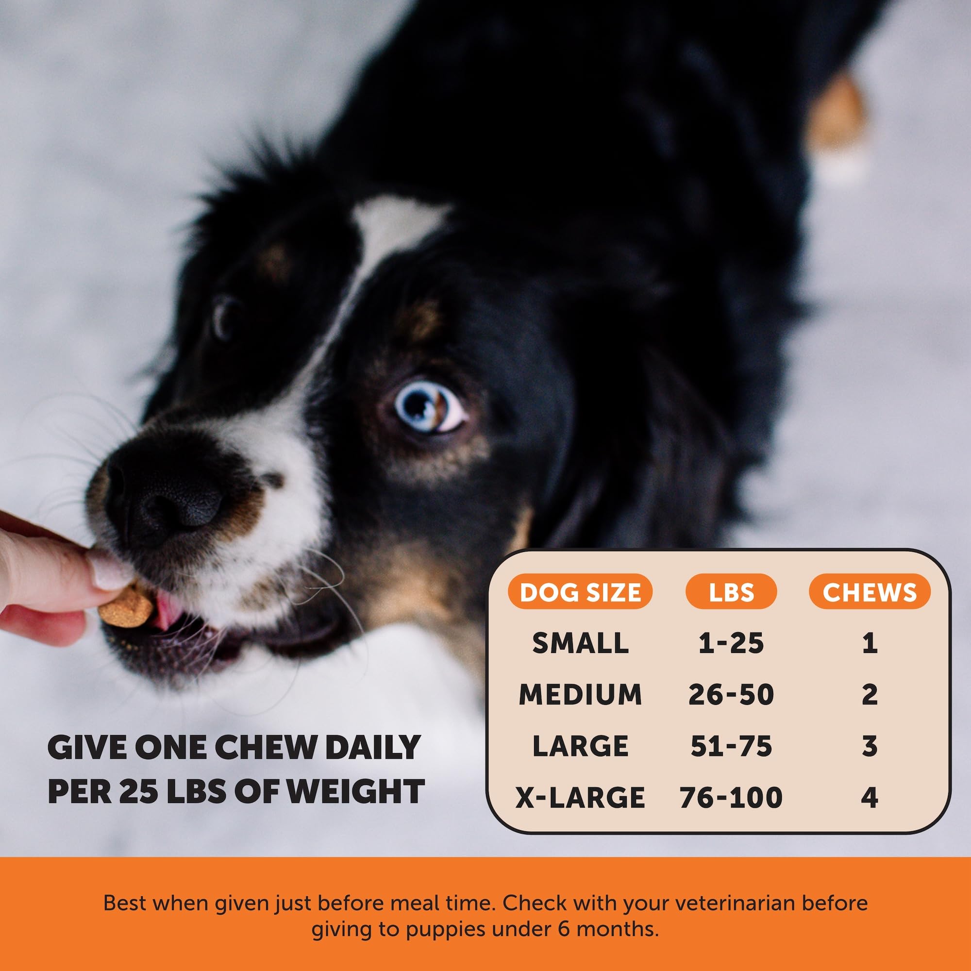 Hemp Hip & Joint Supplement for Dogs - Hemp Oil & Powder - Glucosamine Chondroitin for Dogs, Turmeric, MSM, Green-Lipped Mussel, Supports Mobility, May Reduce Discomfort (Bacon) Pet Honesty buy australia supplements