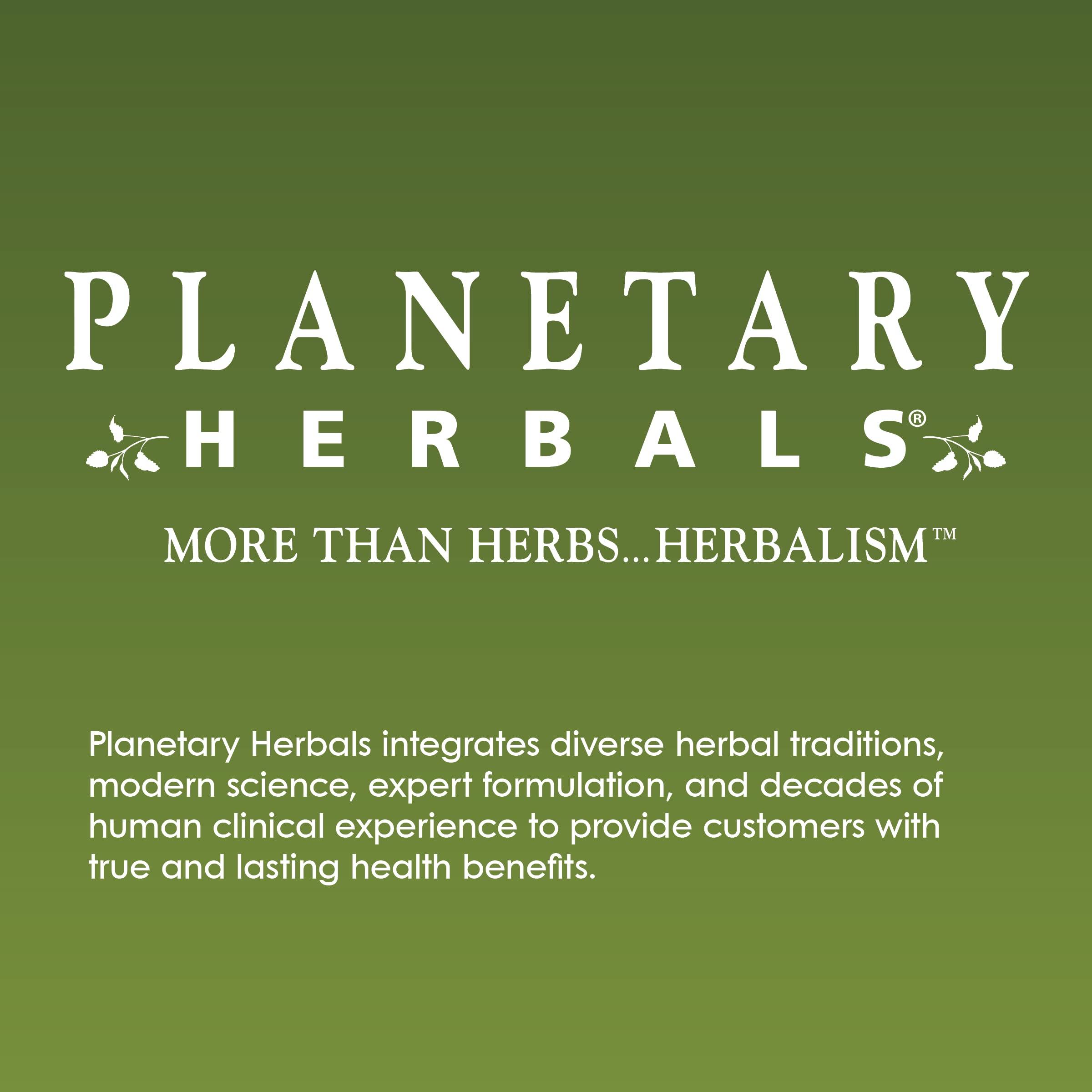 Planetary Herbals PAU D'Arco Deep Cleansing, Herbal Supplement, 735 mg - 72 Tablets Planetary Herbals buy australia supplements