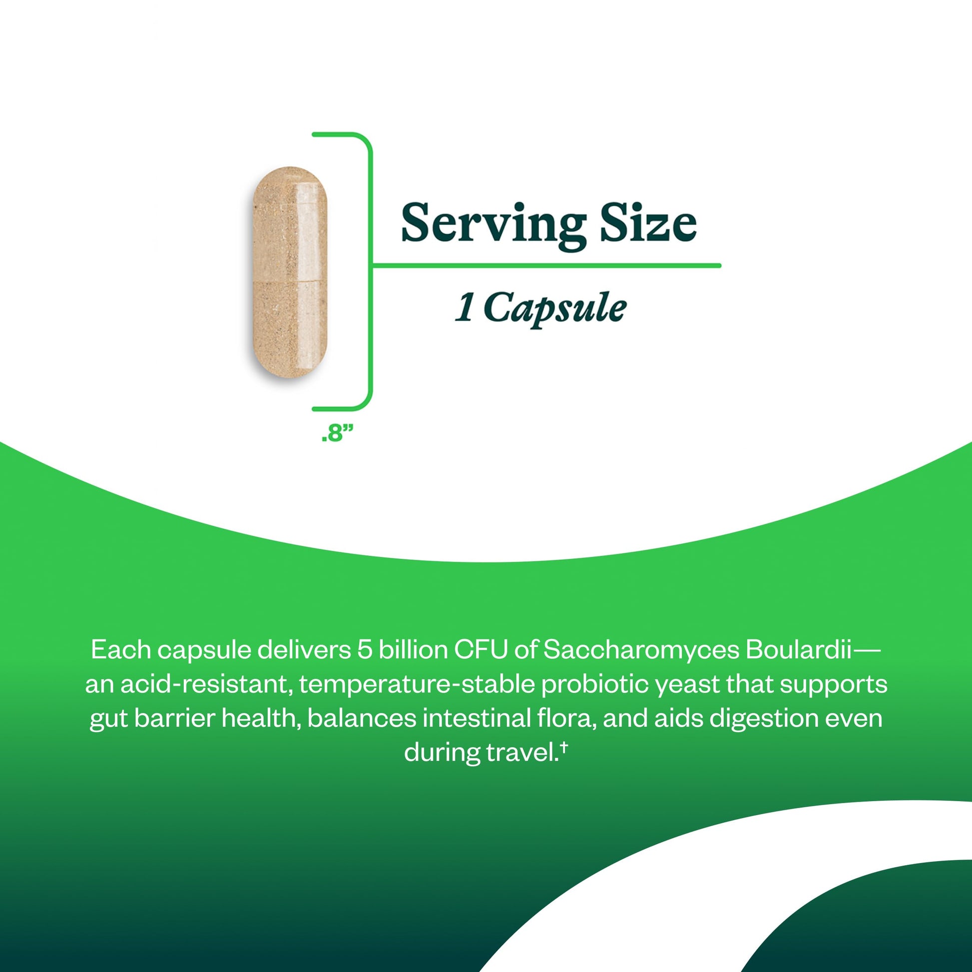 Seeking Health Saccharomyces Boulardii - Gentle Digestive Support for Healthy Bowel Movements* - Supports a Good GI Tract Environment & Microbiome While Traveling* Seeking Health buy australia supplements