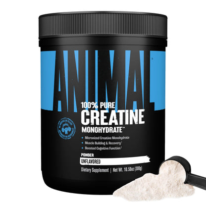 Animal Creatine Monohydrate Powder — Micronized for Muscle Recovery, Cellular Energy, and Daily Wellness — for Men and Women Animal