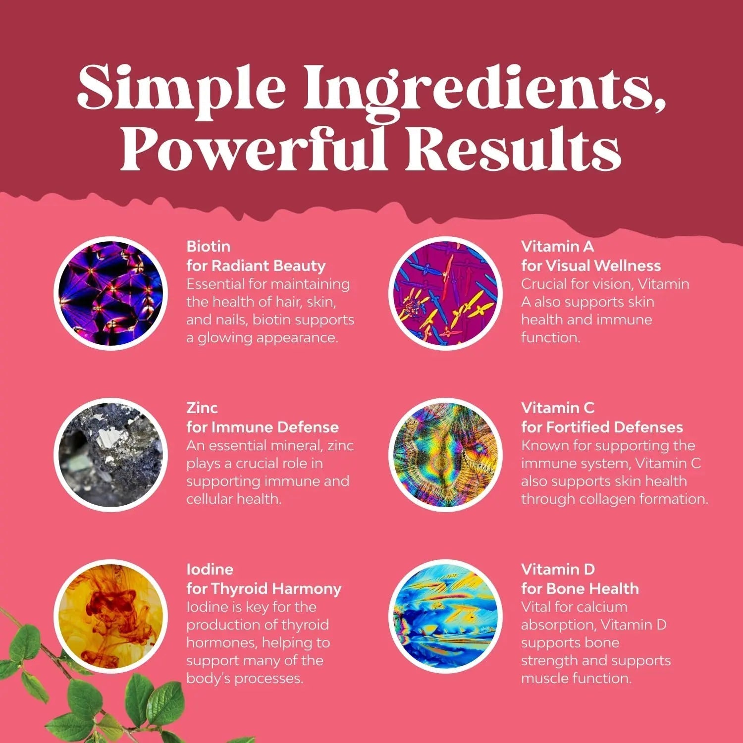 Delicious Daily Multivitamin for Women Gummies - Women's Multivitamin Gummies for Adults Energy and Immunity Natures Craft buy australia supplements